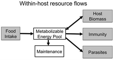 Feeding Immunity: Physiological and Behavioral Responses to Infection and Resource Limitation